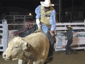 Overlanders Way - Maitland Accommodation 0