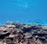 Australian Institute of Marine Science - Maitland Accommodation