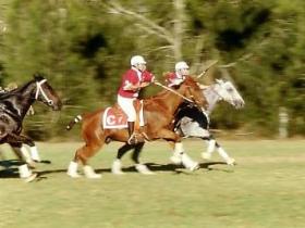 Allan QLD Maitland Accommodation