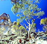 Mount Moffatt Section - Carnarvon National Park - Maitland Accommodation