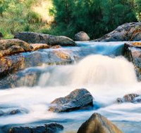Crows Nest Falls - Maitland Accommodation