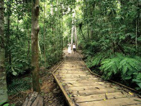 North Johnstone QLD Maitland Accommodation