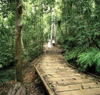 Lake Barrine Circuit Track Crater Lakes National Park - Maitland Accommodation