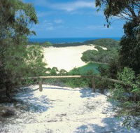 Lake Wabby Track - Maitland Accommodation