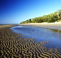 Kinkuna Section - Maitland Accommodation