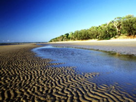 Kinkuna Section - Maitland Accommodation 0