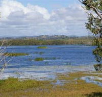 Lake Barfield - Maitland Accommodation