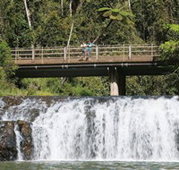 Malanda Falls Conservation Park - Maitland Accommodation