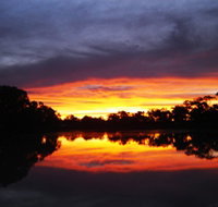 Thomson River - Maitland Accommodation
