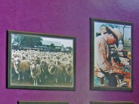 Charleville Photographic Display - Maitland Accommodation 0