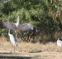 Bulloo River Walk - Maitland Accommodation