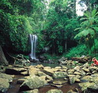 Tamborine National Park - Maitland Accommodation