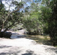 Davies Creek National Park and Dinden National Park - Maitland Accommodation