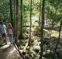 The Pioneer Valley - Maitland Accommodation