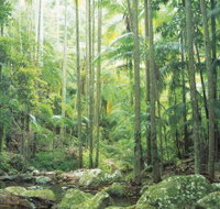 Python Rock - Maitland Accommodation