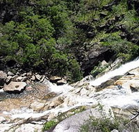 Dinden National Park - Maitland Accommodation