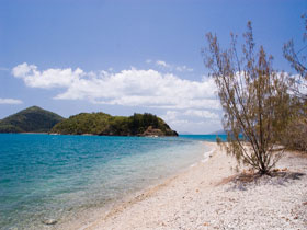 Paddle Bay Track And Campsite - Maitland Accommodation 0