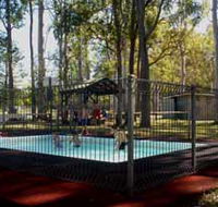 Teddington Weir and Picnic Reserve - Maitland Accommodation
