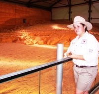 Dinosaurs and Opals Four Wheel Drive Track - Maitland Accommodation