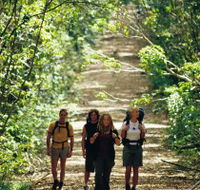 Wet Tropics Great Walk - Maitland Accommodation