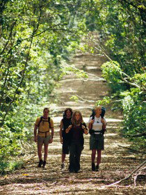 Wet Tropics Great Walk - Maitland Accommodation 0