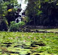 Queens Park Waterfall - Maitland Accommodation