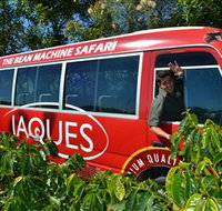 Jaques Coffee Plantation - Maitland Accommodation