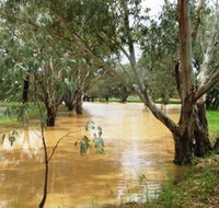 Saddliers Waterhole and Hamburg Creek - Maitland Accommodation