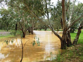 Saddliers Waterhole And Hamburg Creek - Maitland Accommodation 0