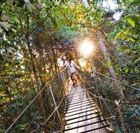 Tree Top Walkway - Maitland Accommodation