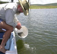 Eungella Dam - Maitland Accommodation