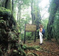 Tooloona Creek circuit - Maitland Accommodation