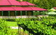 OReillys Canungra Valley Vineyards - thumb 0