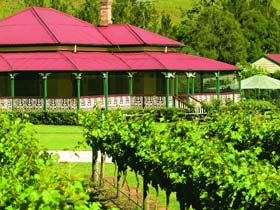 OReillys Canungra Valley Vineyards - Maitland Accommodation 0
