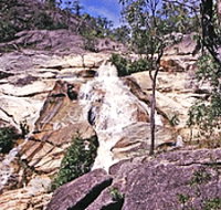 Emerald Creek Falls - Maitland Accommodation