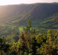 Pine Grove Circuit - Maitland Accommodation