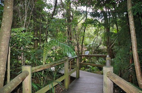 Cedar Creek Estate - Maitland Accommodation 1