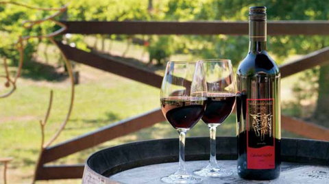 Wild Cattle Creek Estate Winery Restaurant - Maitland Accommodation 4