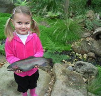 Wild Food Farm  Cafe - Maitland Accommodation