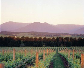 Coldstream VIC Maitland Accommodation