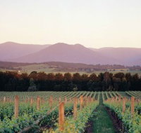 Domaine Chandon - Maitland Accommodation
