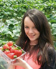 Yarra Valley Gateway Estate - Maitland Accommodation 0