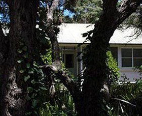 Anglesea VIC Maitland Accommodation