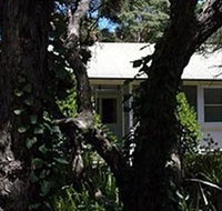 Melaleuca Gallery - Maitland Accommodation