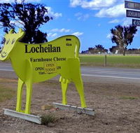 Locheilan Farmhouse Cheese - Maitland Accommodation