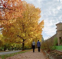 Indigo Gold Trail - Maitland Accommodation