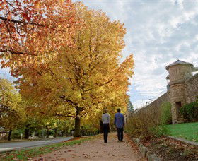 Indigo Gold Trail - Maitland Accommodation 0