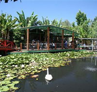 Blue Lotus Water Garden - Maitland Accommodation