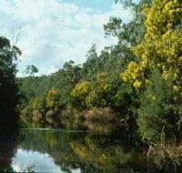 Warrandyte State Park - Maitland Accommodation
