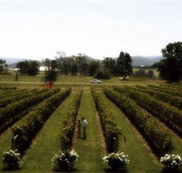 Rochford Wines - Maitland Accommodation